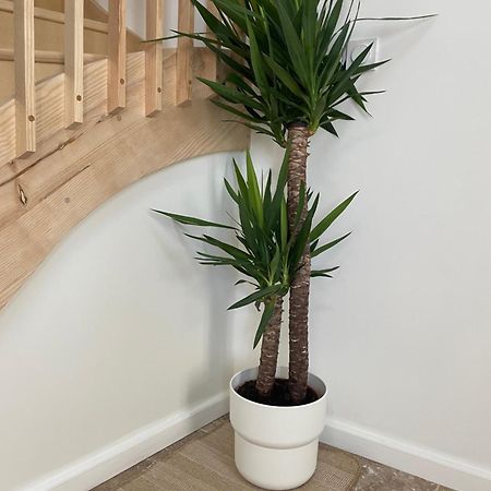 L Appartement Sete Magnifique Duplex Climatise Exteriér fotografie