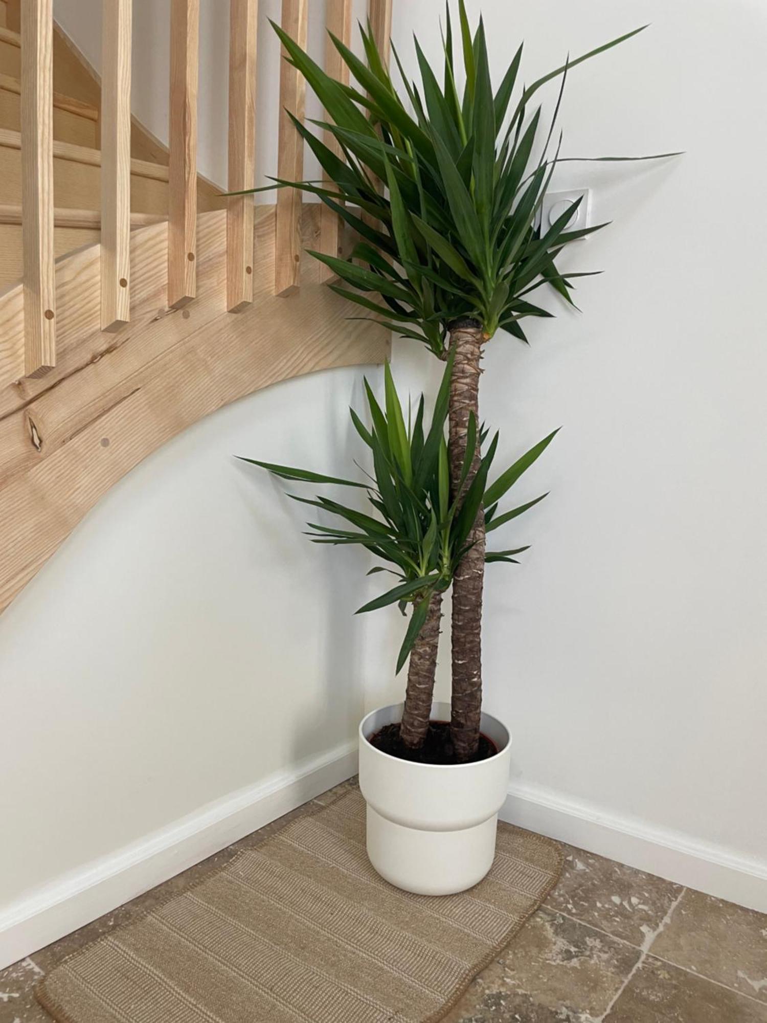 L Appartement Sete Magnifique Duplex Climatise Exteriér fotografie